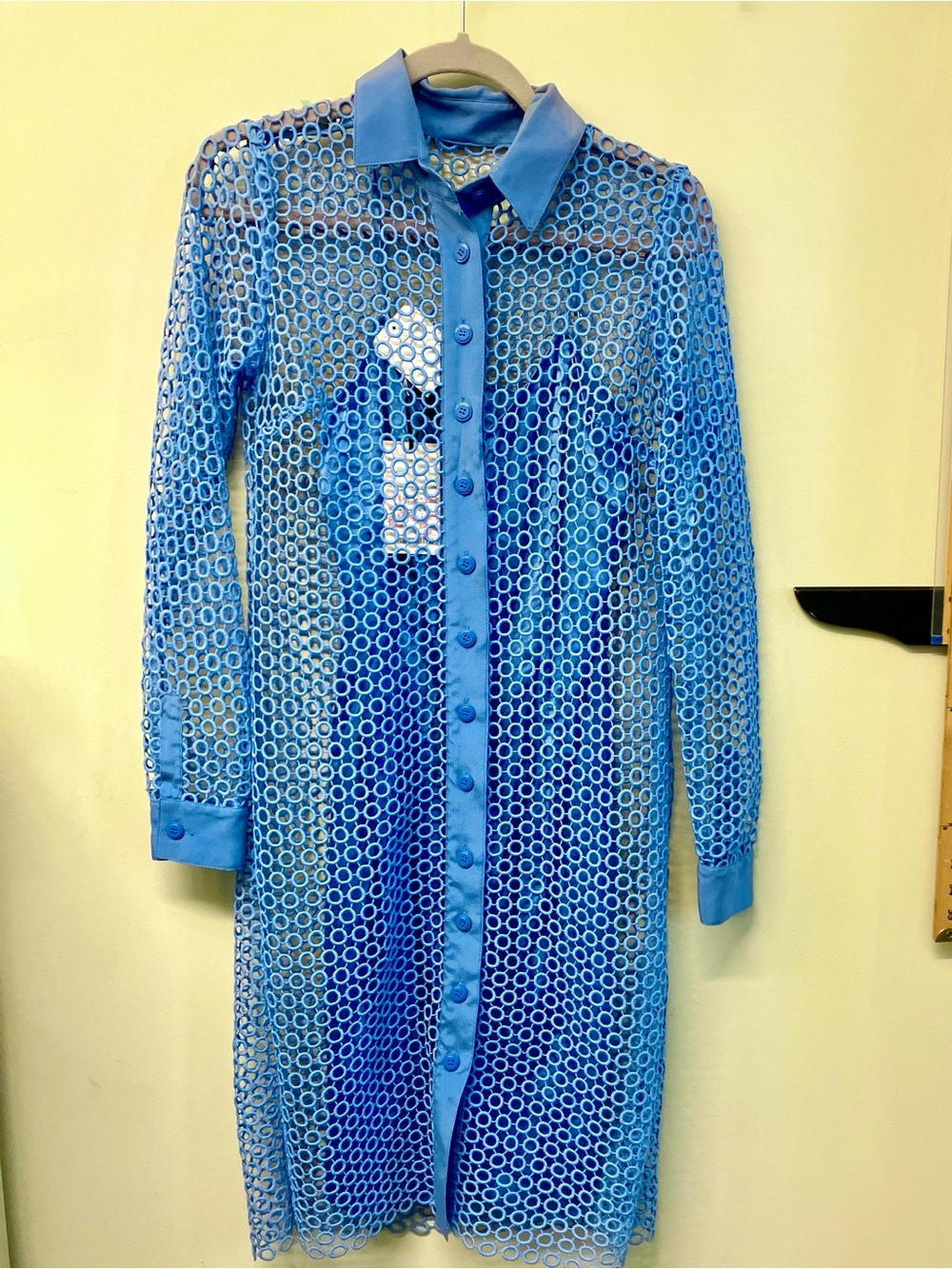 Worth Blue Sheer Long-Sleeve Circle Lace Button-Front Dress